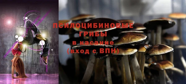 эйфоретик Алексеевка