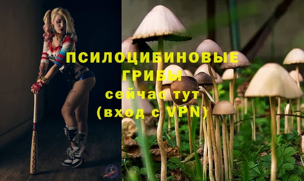 ГАЛЛЮЦИНОГЕННЫЕ ГРИБЫ Алзамай