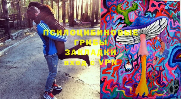 эйфоретик Алексеевка