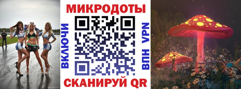 цены наркотик  Осинники  Галлюциногенные грибы Psilocybine cubensis 